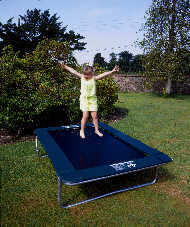 Frog trampoline
